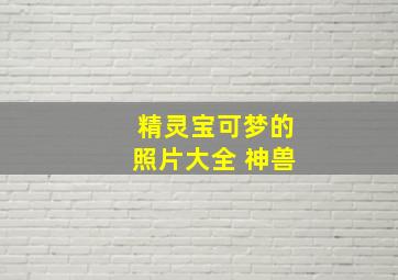 精灵宝可梦的照片大全 神兽